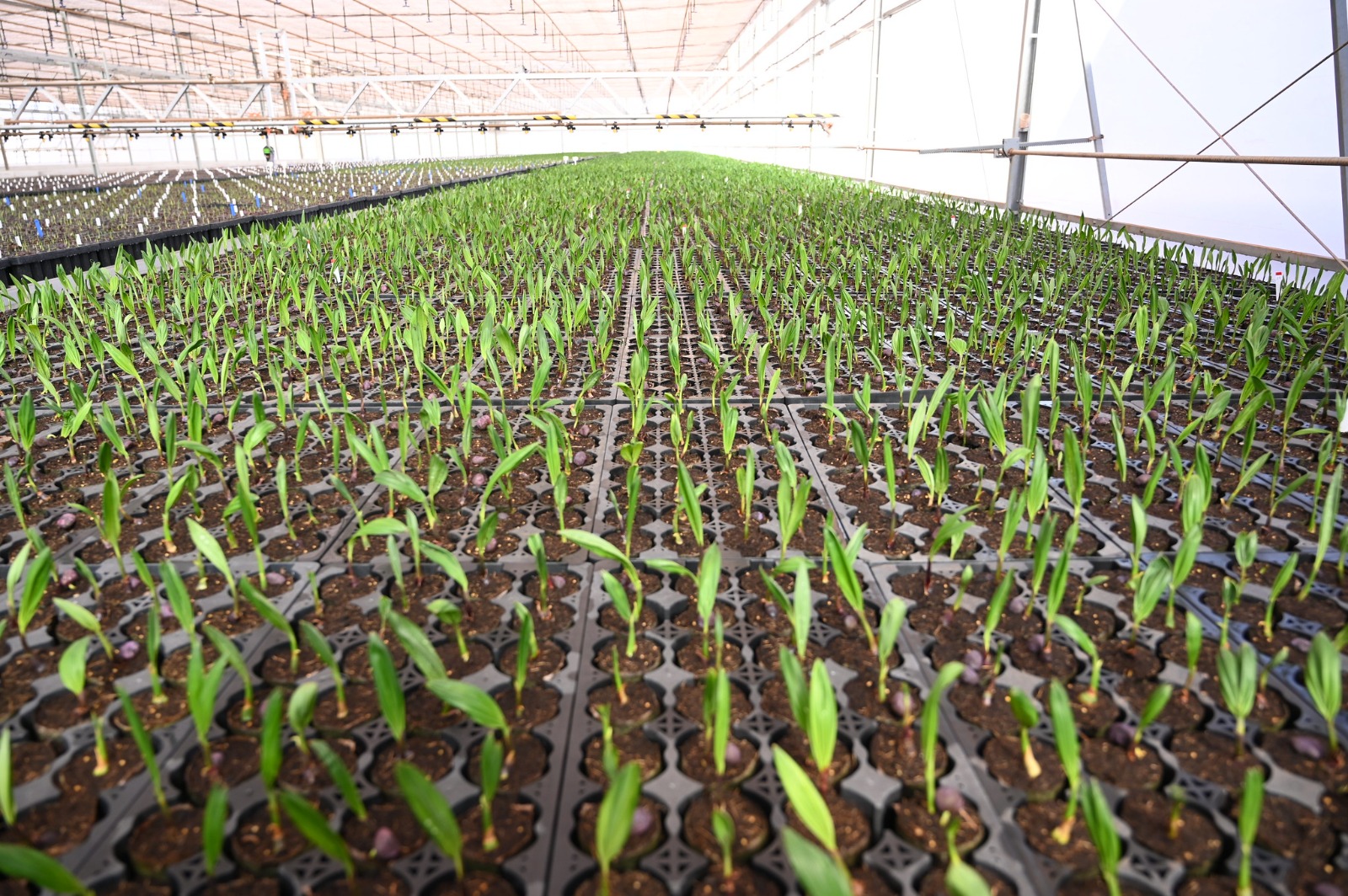 Iniciativas de empresas impulsionam gestão hídrica no Brasil