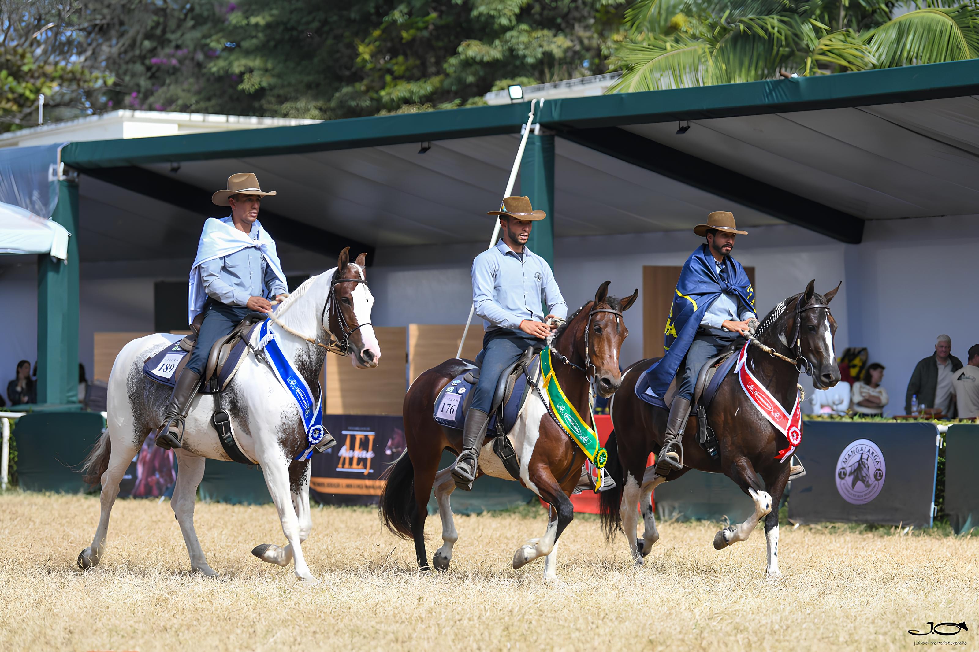 Cavalo da raça Mangalarga estreia na Agrishow