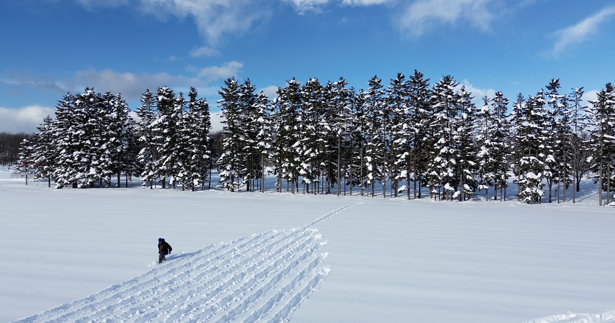 Land Art: artistas transformam natureza em telas