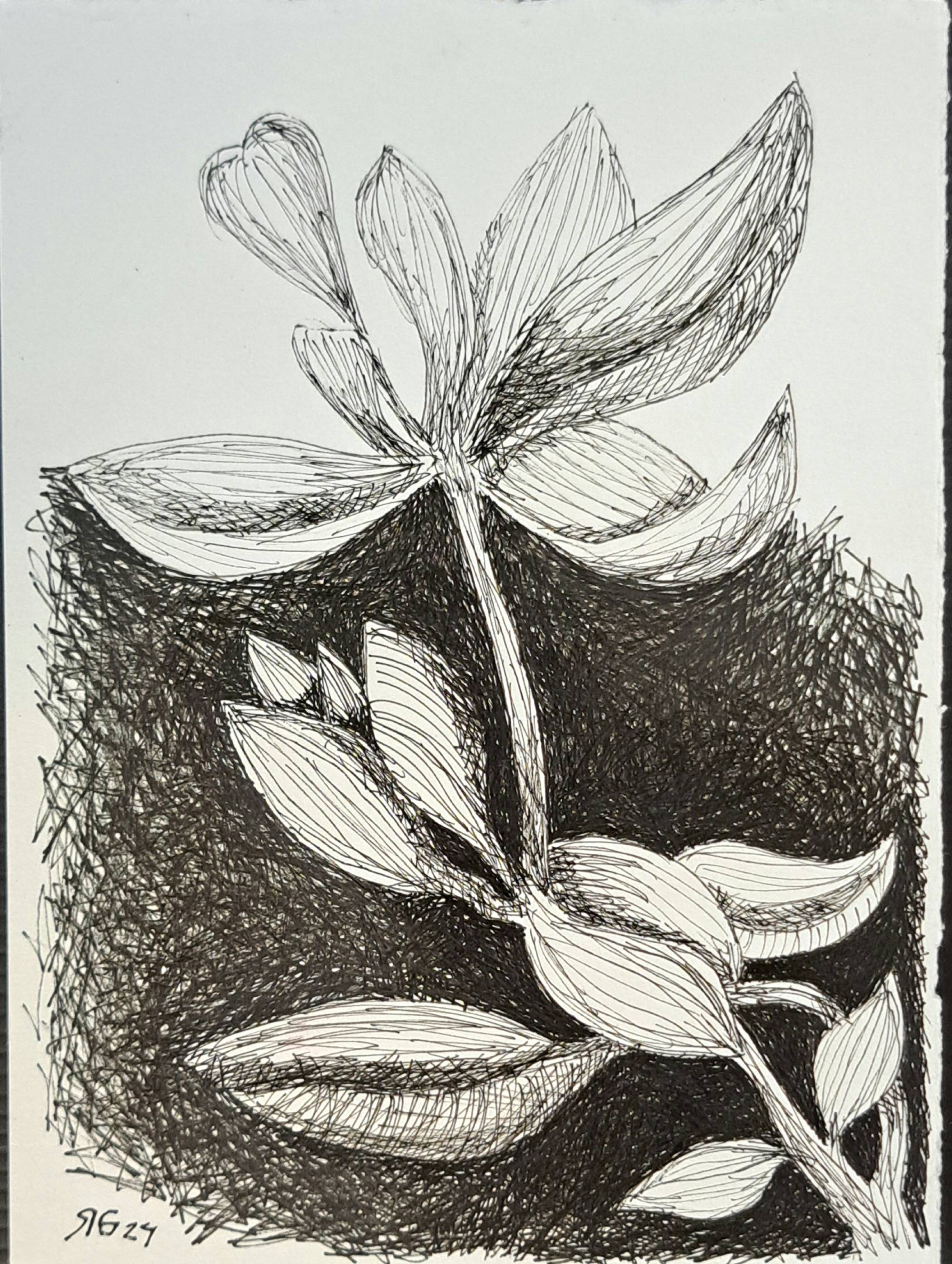 Exposição “UNA”, de Roberto Galvão, reúne obras em Fortaleza