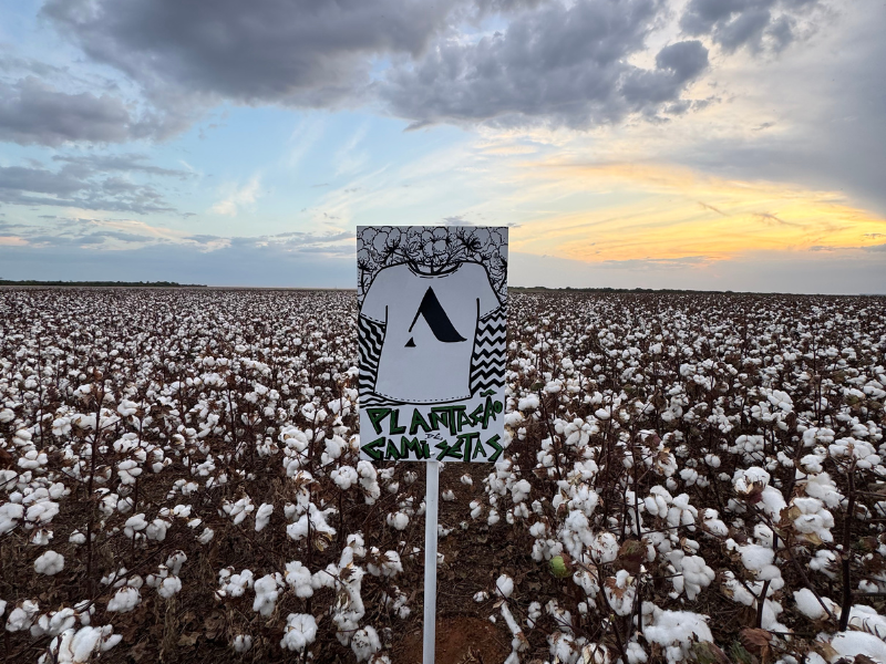 Future Climate e Almagrino vestem transparência na COP30